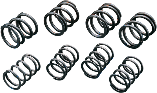 ANDREWS - 272110 - High-Lift Valve Springs