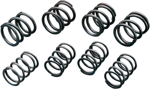 ANDREWS - 272110 - High-Lift Valve Springs
