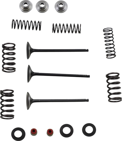 MOOSE OFFROAD - 0926-2457 - Valve and Spring Kit - Yamaha WR250F | YZ250F