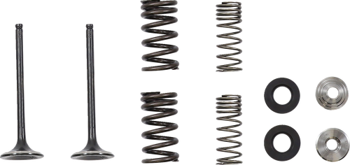 MOOSE OFFROAD - 0926-3374 - Valve and Spring Kit - Honda CRF250RX | CRF250R