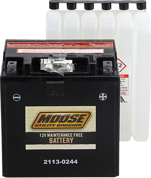 MOOSE OFFROAD - 2113-0244 - AGM Battery - YIX30L-BS