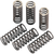 MOOSE OFFROAD - FHDS81-6 - Clutch Springs