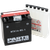 PARTS UNLIMITED - RTX16-BS-1 - AGM Battery - YTX16-BS-1 .8 L