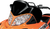 POWERMADD - 12823 - Windshield - 17" - Black - Arctic Cat