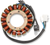 RICK'S MOTORSPORT ELECTRIC - 21-062 - Stator - Arctic Cat