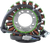 RM STATOR - RM01389 - Stator - Triumph