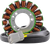 RM STATOR - RM01399 - Stator - Can-Am