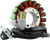 RM STATOR - RMS010-107589 - Stator - Wildcat XX/LTD