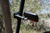 ATV-TEK - UTVMIR1 - Mirror - Clearview - Side View - Breakaway - Rectangle - Black