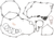 COMETIC - C3419 - Bottom End Gasket Kit - Yamaha