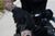 FIST HANDWEAR - Drag Specialties Gloves - Black
