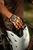 FIST HANDWEAR - Strapped Stocker Tortoise Gloves