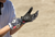 FIST HANDWEAR - Youth Strapped R-Willy Ace Gloves