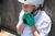 FIST HANDWEAR - Youth Strapped Stocker Jade Gloves