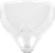 ICON - Threshold Shield - 22.06 - Pinlock&reg; Prepared
