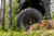 26X Wheel