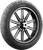 Scorcher 31 Tire