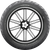 Scorcher 31 Reinforced Tire