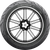 Scorcher 21 Tire