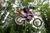 K774 Ibex Tire