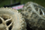 K587 Bearclaw HTR Tire