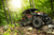 Rampage Tire