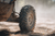Carnivore RT Tire