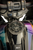 Ascent Pro Gas Cap
