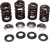Valve Spring Kit