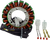 Stator and Flywheel Kit