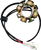 Stator