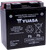 High Performance AGM Maintenance-Free Battery