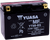 AGM Maintenance-Free Battery