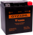 GYZ Factory-Activated AGM Maintenance-Free Battery