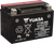 AGM Maintenance-Free Battery