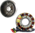 Stator and Flywheel Kit