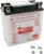 Yumicron Battery