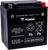 AGM Maintenance-Free Battery