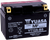 AGM Maintenance-Free Battery