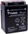 High Performance AGM Maintenance-Free Battery