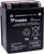 High Performance AGM Maintenance-Free Battery