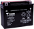 High Performance AGM Maintenance-Free Battery