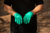 Strapped Stocker Jade Gloves