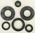 OIL SEAL SET