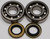 CRANKSHAFT BEARING/SEAL KIT