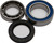 WHEEL BEARING & SEAL KIT