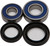 WHEEL BEARING & SEAL KIT