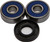 WHEEL BEARING & SEAL KIT