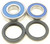 REAR WHEEL BEARING KIT