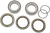 PIVOT WORKS - PWRWK-P10-000 - Wheel Bearing Kit - '03-'10 Polaris Predator 500 Dale Earnheadt Jr. Edition, Predator 500 50th Anniversary Edition